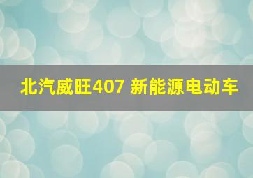 北汽威旺407 新能源电动车